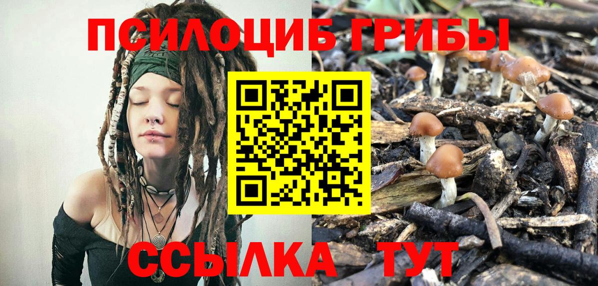 Усть-Джегута  Псилоцибиновые грибы GOLDEN TEACHER  Вход с VPN 